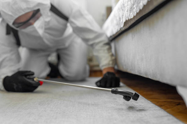 Professional Mosquito Control technician working in Andrews, TX