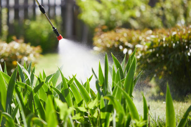 24/7 Emergency Mosquito Control experts in Andrews, TX