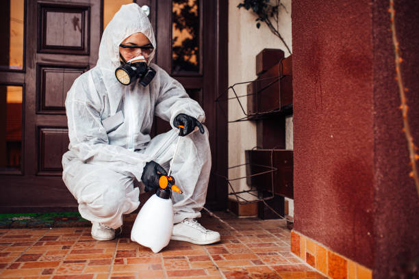 Reliable Mosquito Control contractor in Andrews, TX by Nex Pest Control
